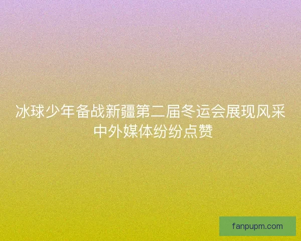 冰球少年备战新疆第二届冬运会展现风采 中外媒体纷纷点赞