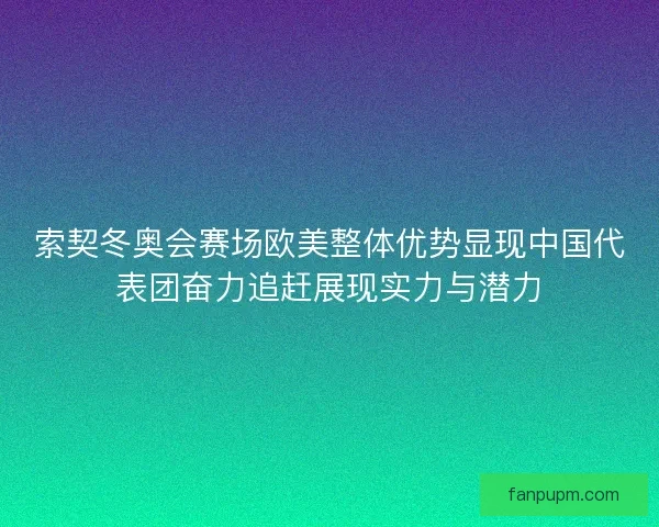 索契冬奥会赛场欧美整体优势显现中国代表团奋力追赶展现实力与潜力 索契冬奥会赛场欧美整体优势显现中国代表团奋力追赶展现实力与潜力