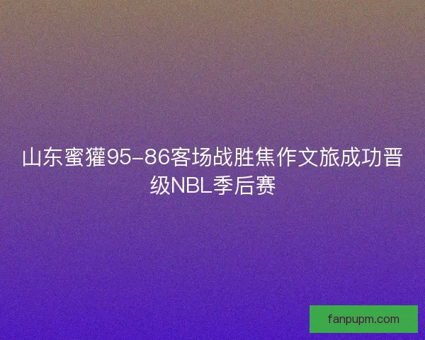 山东蜜獾95-86客场战胜焦作文旅成功晋级NBL季后赛